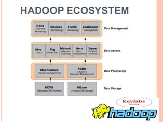 HADOOP ECOSYSTEM
 