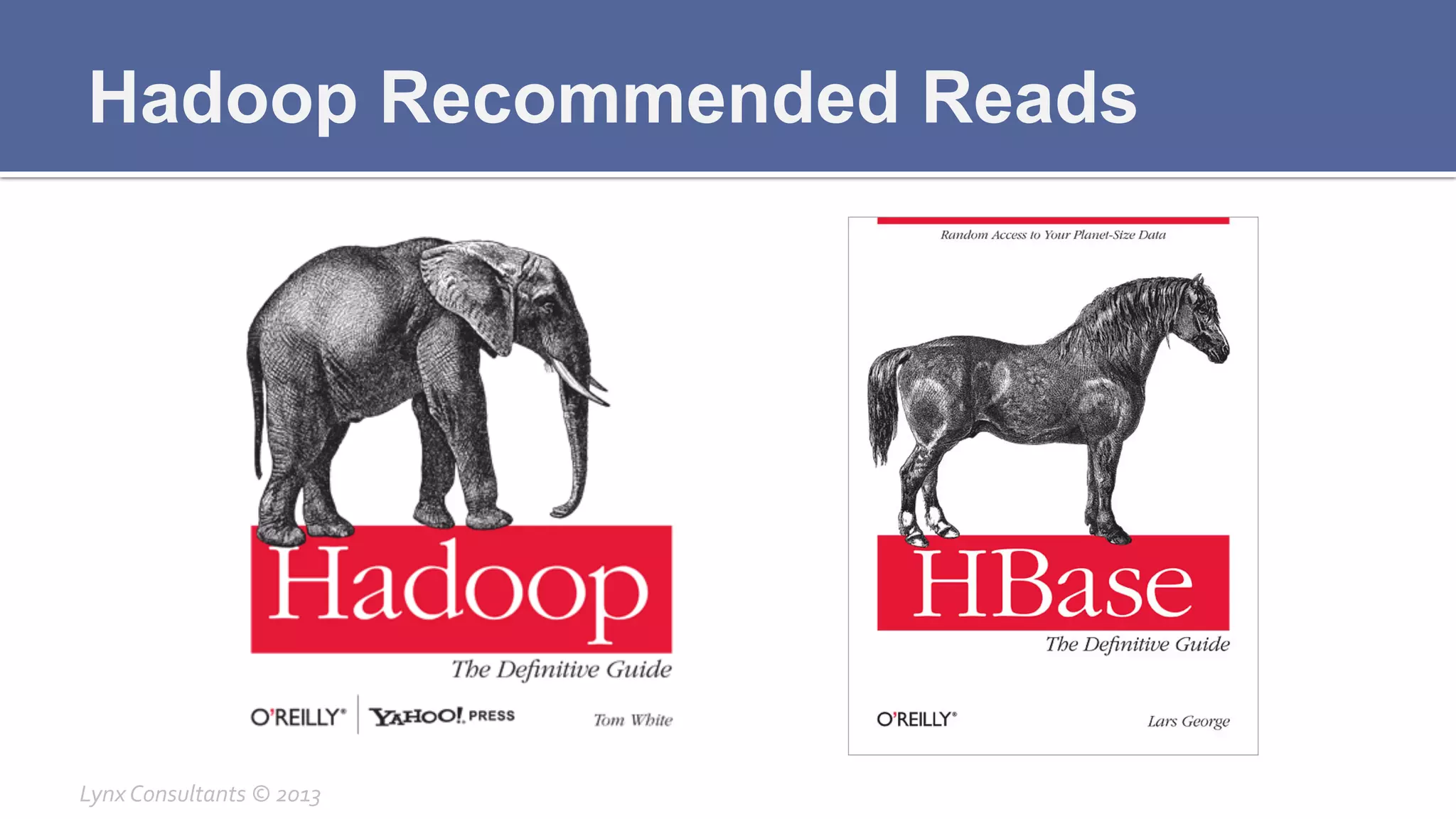Hadoop Recommended Reads
Lynx	
  Consultants	
  ©	
  2013	
  
 