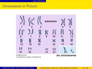 Basic Deﬁnitions
Chromosome in Picture
Mahmoud Parsian Ph.D in Computer Science Finding Allelic Frequencies Using MapReduce/Hadoop 10 / 46
 