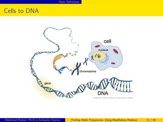 Basic Deﬁnitions
Cells to DNA
Mahmoud Parsian Ph.D in Computer Science Finding Allelic Frequencies Using MapReduce/Hadoop 11 / 46
 