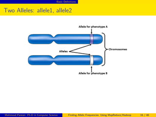 Basic Deﬁnitions
Two Alleles: allele1, allele2
Mahmoud Parsian Ph.D in Computer Science Finding Allelic Frequencies Using MapReduce/Hadoop 16 / 46
 
