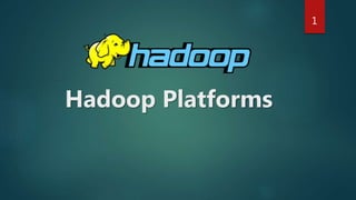 Hadoop Platforms
1
 