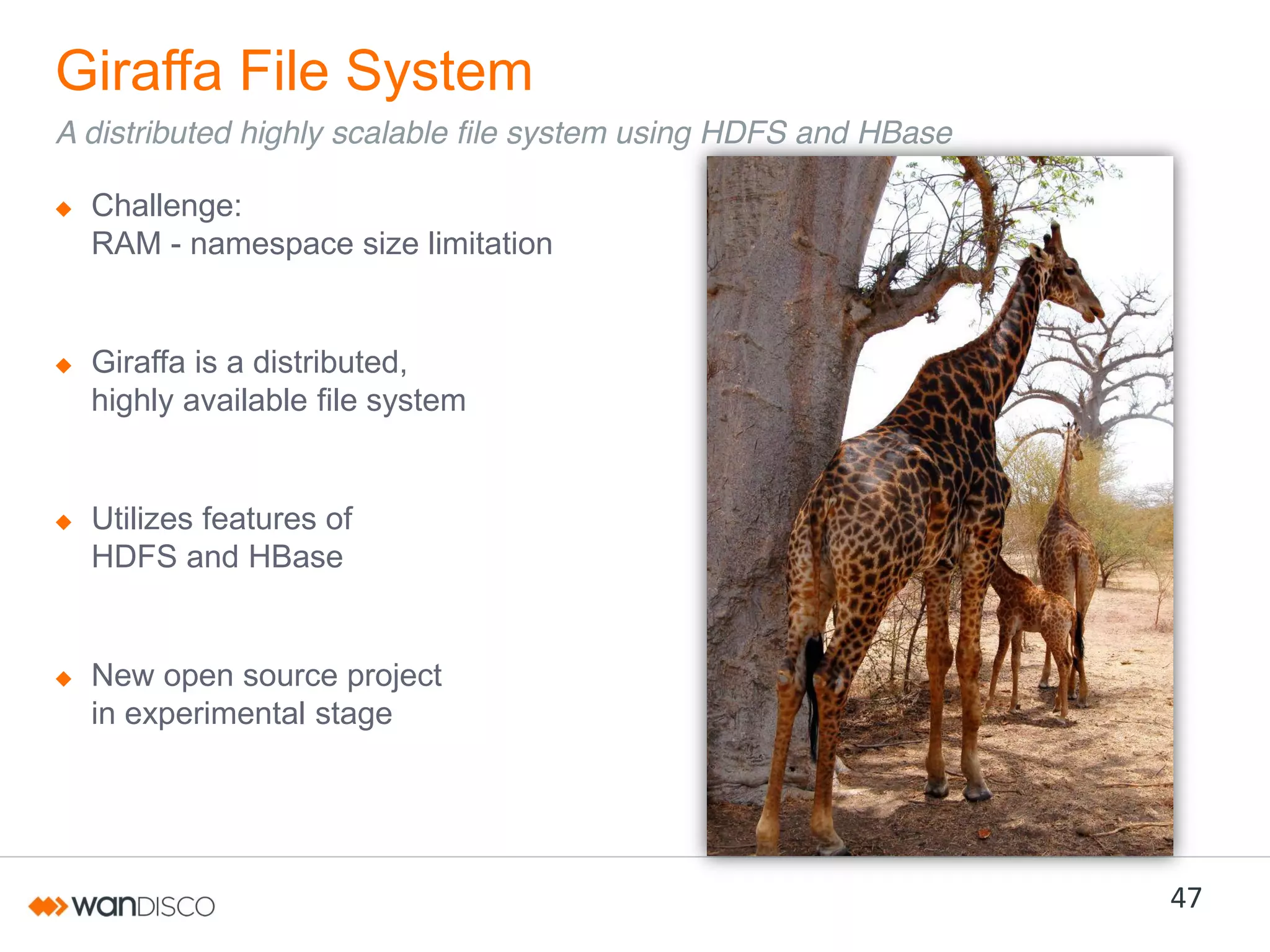 Giraffa File System
A distributed highly scalable file system using HDFS and HBase
Challenge:
RAM - namespace size limitation

Giraffa is a distributed,
highly available file system

Utilizes features of
HDFS and HBase

New open source project
in experimental stage

47

 