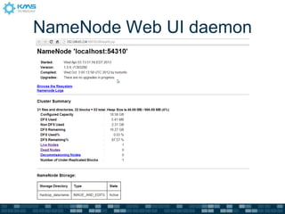 NameNode Web UI daemon
 