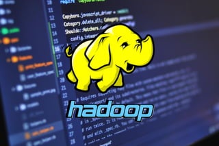 Hadoop Development Services | Hire Hadoop Developers | Chetu