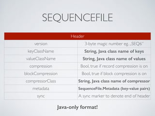 Data Storage Formats in Hadoop | PDF