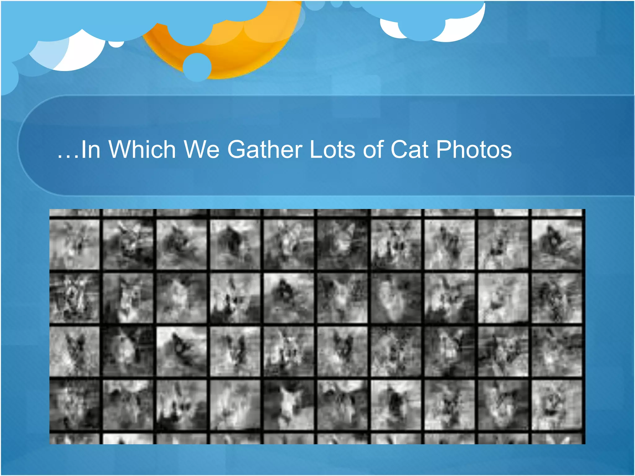 …In Which We Gather Lots of Cat Photos
 