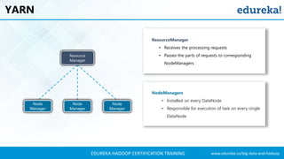 www.edureka.co/big-data-and-hadoopEDUREKA HADOOP CERTIFICATION TRAINING
YARN
Resource
Manager
Node
Manager
Node
Manager
Node
Manager
ResourceManager
• Receives the processing requests
• Passes the parts of requests to corresponding
NodeManagers
NodeManagers
• Installed on every DataNode
• Responsible for execution of task on every single
DataNode
 