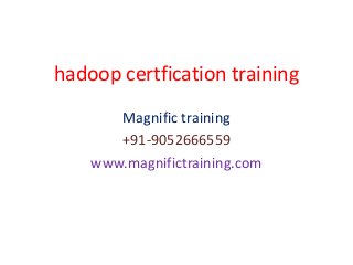 hadoop certfication training
Magnific training
+91-9052666559
www.magnifictraining.com
 