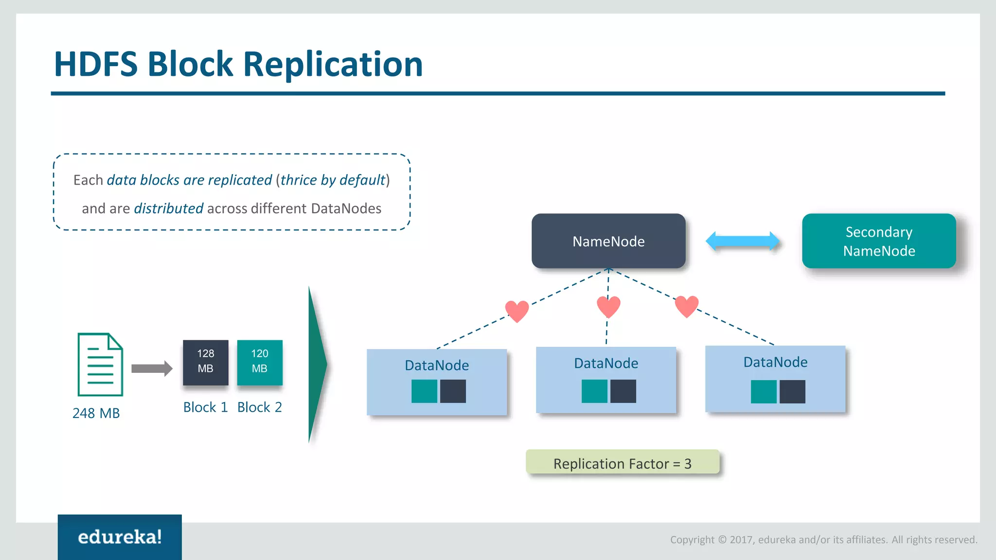 Copyright © 2017, edureka and/or its affiliates. All rights reserved. HDFS Block Replication NameNode DataNodeDataNode DataNode Secondary NameNode 128 MB 120 MB 248 MB Block 1 Block 2 Each data blocks are replicated (thrice by default) and are distributed across different DataNodes Replication Factor = 3 
