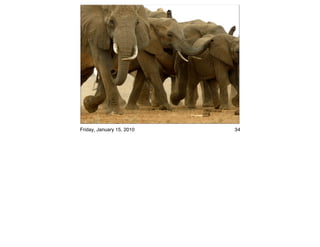 Friday, January 15, 2010   34
 