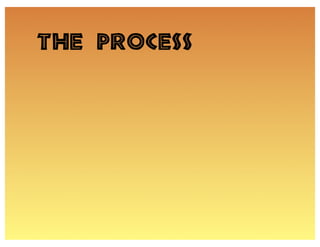 The process
 