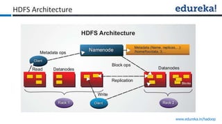 www.edureka.in/hadoop
HDFS Architecture
 