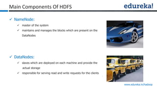 www.edureka.in/hadoop
 NameNode:
 master of the system
 maintains and manages the blocks which are present on the
DataNodes
 DataNodes:
 slaves which are deployed on each machine and provide the
actual storage
 responsible for serving read and write requests for the clients
Main Components Of HDFS
 
