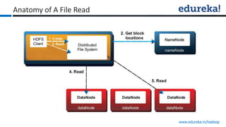 www.edureka.in/hadoop
Anatomy of A File Read
 