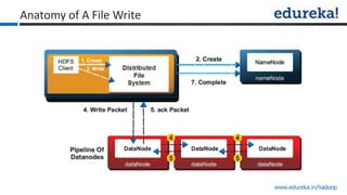 www.edureka.in/hadoop
Anatomy of A File Write
 
