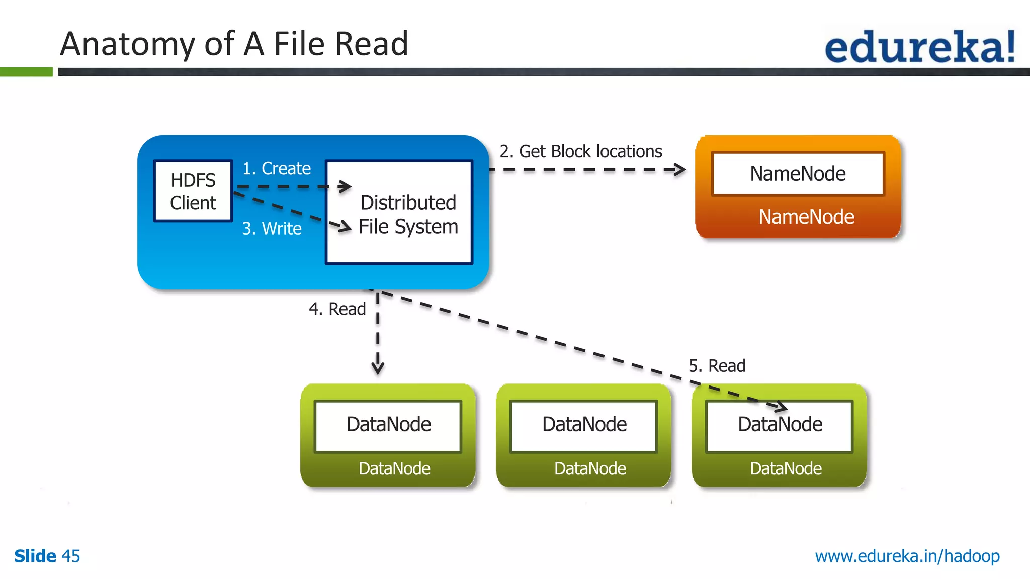 Anatomy of A File Read

HDFS
Client

2. Get Block locations

1. Create
3. Write

NameNode

Distributed
File System

NameNode

4. Read

5. Read

DataNode

DataNode

DataNode

Slide 45

DataNode
DataNode

DataNode

www.edureka.in/hadoop

 