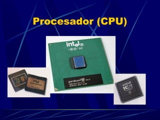 Procesador (CPU) 
 