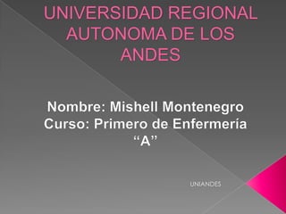UNIVERSIDAD REGIONAL
AUTONOMA DE LOS
ANDES

UNIANDES

 