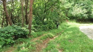 Beautiful Hae-Ryong-San Mountain in Summer 