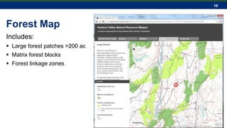 10
Forest Map
Includes:
 Large forest patches >200 ac
 Matrix forest blocks
 Forest linkage zones
 