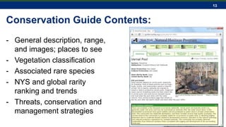 13
Conservation Guide Contents:
- General description, range,
and images; places to see
- Vegetation classification
- Associated rare species
- NYS and global rarity
ranking and trends
- Threats, conservation and
management strategies
 