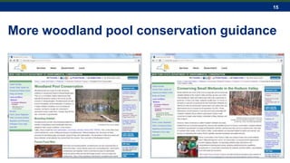 15
More woodland pool conservation guidance
 