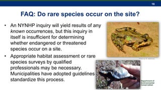 18
FAQ: Do rare species occur on the site?
• An NYNHP inquiry will yield results of any
known occurrences, but this inquiry in
itself is insufficient for determining
whether endangered or threatened
species occur on a site.
• Appropriate habitat assessment or rare
species surveys by qualified
professionals may be necessary.
Municipalities have adopted guidelines to
standardize this process.
Photo by M. Adamovic
 