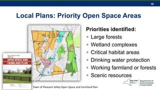 19
Local Plans: Priority Open Space Areas
Priorities identified:
 Large forests
 Wetland complexes
 Critical habitat areas
 Drinking water protection
 Working farmland or forests
 Scenic resources
Town of Pleasant Valley Open Space and Farmland Plan
 