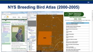 24
NYS Breeding Bird Atlas (2000-2005)
 