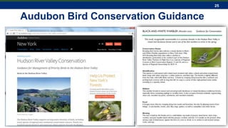 25
Black-and-White Warbler
Audubon Bird Conservation Guidance
 