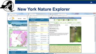 26
New York Nature Explorer
 