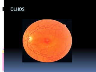 OLHOS
 