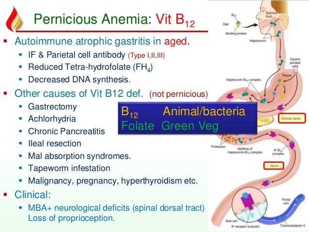 Anemia2 deficiency anemias