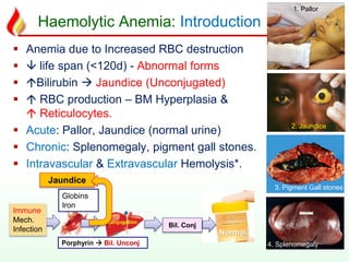 Haemolytic Anemia: Introduction
 Anemia due to Increased RBC destruction
  life span (<120d) - Abnormal forms
 Bilirubin  Jaundice (Unconjugated)
  RBC production – BM Hyperplasia &
 Reticulocytes.
 Acute: Pallor, Jaundice (normal urine)
 Chronic: Splenomegaly, pigment gall stones.
 Intravascular & Extravascular Hemolysis*.
Jaundice
2. Jaundice
4. Splenomegaly
3. Pigment Gall stones
1. Pallor
Immune
Mech.
Infection
Porphyrin  Bil. Unconj
Globins
Iron
Bil. Conj
Conjugation
Normal
 