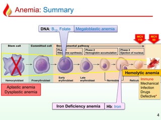 Anemia: Summary
4
MCV
90
MCV
110
DNA: B12, Folate
Hb: Iron
Megaloblastic anemia
Iron Deficiency anemia
Aplastic anemia
Dysplastic anemia
Hemolytic anemia
Immune
Mechanical
Infection
Drugs
Defective*
 
