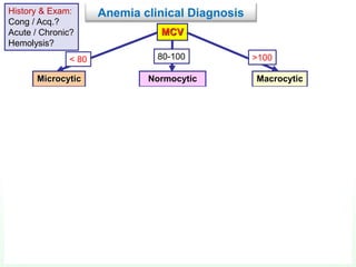 MCV
Microcytic Normocytic Macrocytic
Iron studies - Ferritin
Low Normal/high
IDA ACD / Thalassemia
Reticulocyte count
high low ACD /
Aplastic anemia
Hemolytic anemia or
blood loss
Measure B12 + folate
Megaloblastic
Normal Low
Anemia clinical DiagnosisHistory & Exam:
Cong / Acq.?
Acute / Chronic?
Hemolysis?
< 80 80-100 >100
 