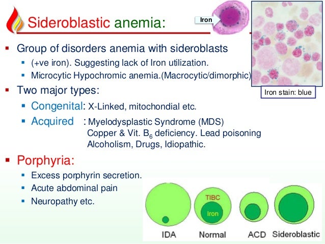 Haem15 - Anemia conclusions & Polycythemia