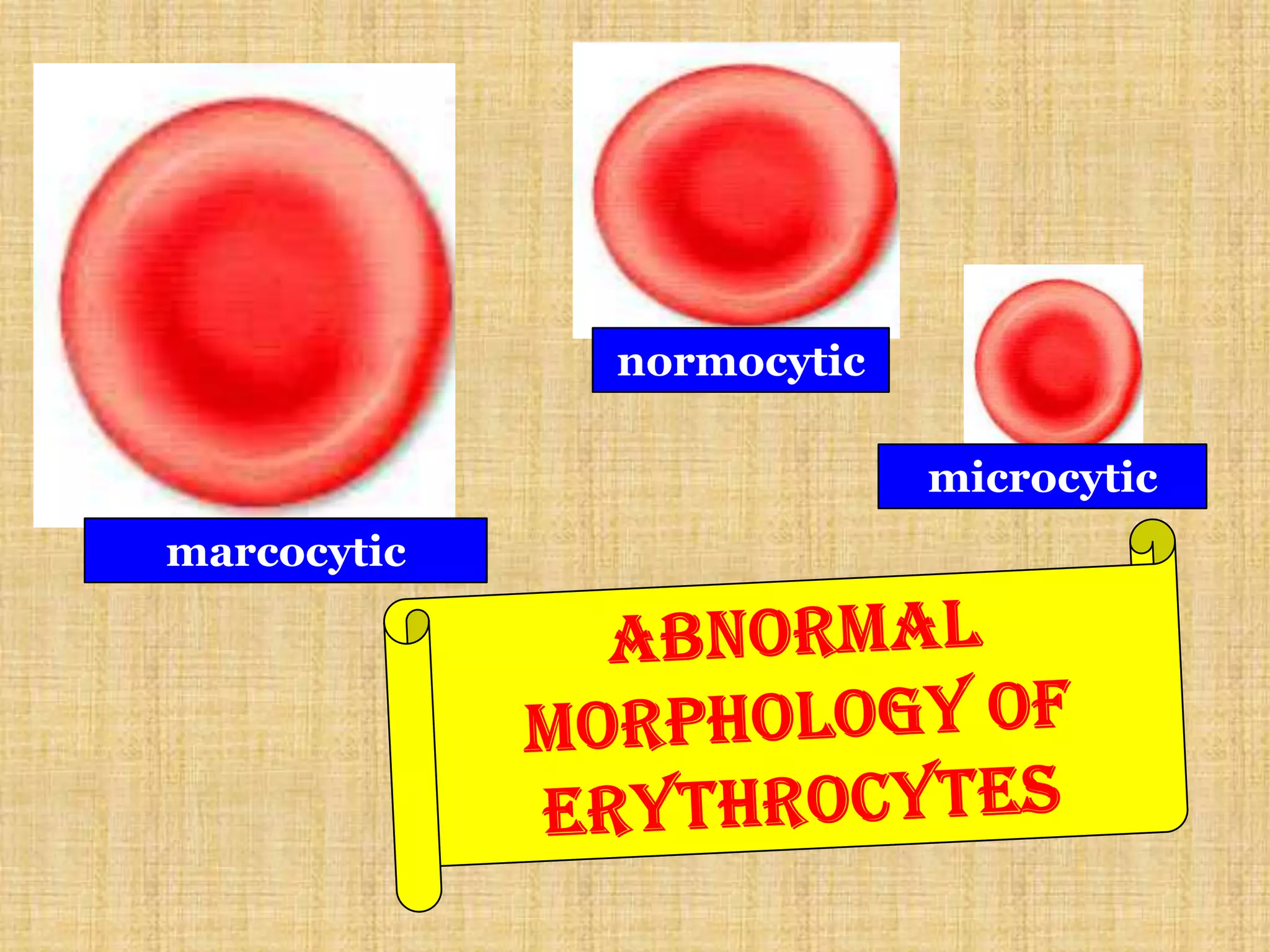 normal and abnormalities in red blood cell | PPTX
