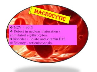  MCV < 90 fl
 Defect in nuclear maturation /
stimulated erythrocytes.
Disorder : Folate and vitamin B12
deficiency , reticulocytosis.

 