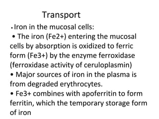 Transport
• Iron in the mucosal cells:
• The iron (Fe2+) entering the mucosal
cells by absorption is oxidized to ferric
form (Fe3+) by the enzyme ferroxidase
(ferroxidase activity of ceruloplasmin)
• Major sources of iron in the plasma is
from degraded erythrocytes.
• Fe3+ combines with apoferritin to form
ferritin, which the temporary storage form
of iron
 