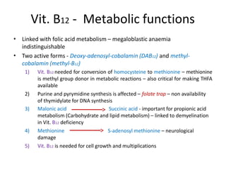 Vit. B12 - Metabolic functions
• Linked with folic acid metabolism – megaloblastic anaemia
indistinguishable
Two active forms - Deoxy-adenosyl-cobalamin (DAB12) and methyl-
cobalamin (methyl-B12)
•
1) Vit. B12 needed for conversion of homocysteine to methionine – methionine
is methyl group donor in metabolic reactions – also critical for making THFA
available
2) Purine and pyrymidine synthesis is affected – folate trap – non availability
of thymidylate for DNA synthesis
3) Malonic acid Succinic acid - important for propionic acid
metabolism (Carbohydrate and lipid metabolism) – linked to demyelination
in Vit. B12 deficiency
4) Methionine S-adenosyl methionine – neurological
damage
5) Vit. B12 is needed for cell growth and multiplications
 