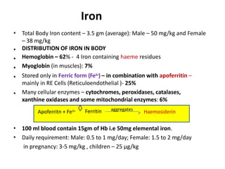 Iron
• Total Body Iron content – 3.5 gm (average): Male – 50 mg/kg and Female
– 38 mg/kg
DISTRIBUTION OF IRON IN BODY
Hemoglobin – 62% - 4 Iron containing haeme residues
Myoglobin (in muscles): 7%
Stored only in Ferric form (Fe3+) – in combination with apoferritin –
mainly in RE Cells (Reticuloendothelial )- 25%
Many cellular enzymes – cytochromes, peroxidases, catalases,
xanthine oxidases and some mitochondrial enzymes: 6%
•
•
•
•
•
•
•
100 ml blood contain 15gm of Hb i.e 50mg elemental iron.
Daily requirement: Male: 0.5 to 1 mg/day; Female: 1.5 to 2 mg/day
in pregnancy: 3-5 mg/kg , children – 25 µg/kg
Apoferritn + Fe3+ Haemosiderin
 Ferritin aggregates
 