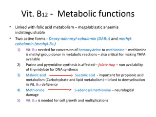 Vit. B12 - Metabolic functions
• Linked with folic acid metabolism – megaloblastic anaemia
indistinguishable
• Two active forms - Deoxy-adenosyl-cobalamin (DAB12) and methyl-
cobalamin (methyl-B12)
1) Vit. B12 needed for conversion of homocysteine to methionine – methionine
is methyl group donor in metabolic reactions – also critical for making THFA
available
2) Purine and pyrymidine synthesis is affected – folate trap – non availability
of thymidylate for DNA synthesis
3) Malonic acid Succinic acid - important for propionic acid
metabolism (Carbohydrate and lipid metabolism) – linked to demyelination
in Vit. B12 deficiency
4) Methionine S-adenosyl methionine – neurological
damage
5) Vit. B12 is needed for cell growth and multiplications
 