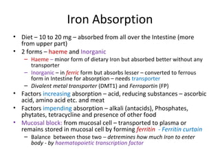 Iron Absorption
• Diet – 10 to 20 mg – absorbed from all over the Intestine (more
from upper part)
• 2 forms – haeme and Inorganic
– Haeme – minor form of dietary Iron but absorbed better without any
transporter
– Inorganic – in ferric form but absorbs lesser – converted to ferrous
form in Intestine for absorption – needs transporter
– Divalent metal transporter (DMT1) and Ferroportin (FP)
• Factors increasing absorption – acid, reducing substances – ascorbic
acid, amino acid etc. and meat
• Factors impending absorption – alkali (antacids), Phosphates,
phytates, tetracycline and presence of other food
• Mucosal block: from mucosal cell – transported to plasma or
remains stored in mucosal cell by forming ferritin - Ferritin curtain
– Balance between those two – detremines how much Iron to enter
body - by haematopoietic transcription factor
 