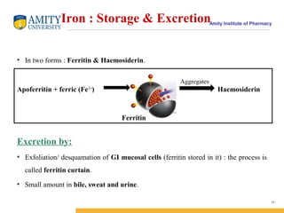 Amity Institute of Pharmacy
Iron : Storage & Excretion
• In two forms : Ferritin & Haemosiderin.
Apoferritin + ferric (Fe3 +
) Haemosiderin
Excretion by:
• Exfoliation/ desquamation of GI mucosal cells (ferritin stored in it) : the process is
called ferritin curtain.
• Small amount in bile, sweat and urine.
11
Aggregates
Ferritin
 