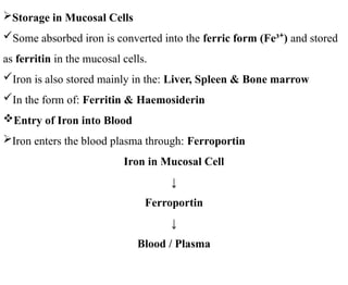 Storage in Mucosal Cells
Some absorbed iron is converted into the ferric form (Fe³ )
⁺ and stored
as ferritin in the mucosal cells.
Iron is also stored mainly in the: Liver, Spleen & Bone marrow
In the form of: Ferritin & Haemosiderin
Entry of Iron into Blood
Iron enters the blood plasma through: Ferroportin
Iron in Mucosal Cell
↓
Ferroportin
↓
Blood / Plasma
 