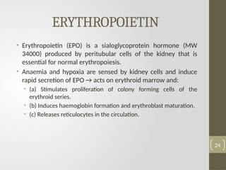 ERYTHROPOIETIN
• Erythropoietin (EPO) is a sialoglycoprotein hormone (MW
34000) produced by peritubular cells of the kidney that is
essential for normal erythropoiesis.
• Anaemia and hypoxia are sensed by kidney cells and induce
rapid secretion of EPO → acts on erythroid marrow and:
• (a) Stimulates proliferation of colony forming cells of the
erythroid series.
• (b) Induces haemoglobin formation and erythroblast maturation.
• (c) Releases reticulocytes in the circulation.
24
 