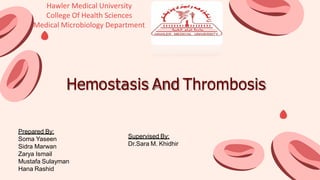 Hemostasis: Stages and How the Process Stops Blood Flow