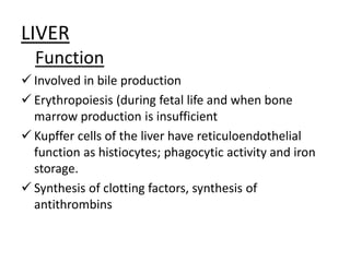 LIVER
Function
 Involved in bile production
 Erythropoiesis (during fetal life and when bone
marrow production is insufficient
 Kupffer cells of the liver have reticuloendothelial
function as histiocytes; phagocytic activity and iron
storage.
 Synthesis of clotting factors, synthesis of
antithrombins
 